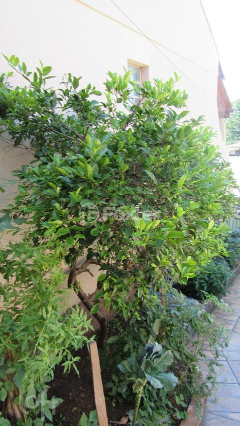 Image 13 - 245286