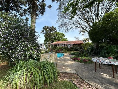 Image 3 - 245494