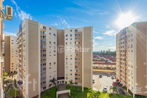 Image 9 - 245815