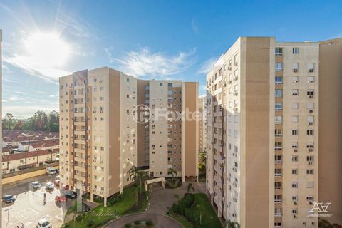 Image 10 - 245815