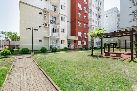 Image 12 - 246525