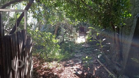 Image 16 - 247342