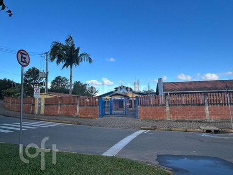 Image 10 - 247365