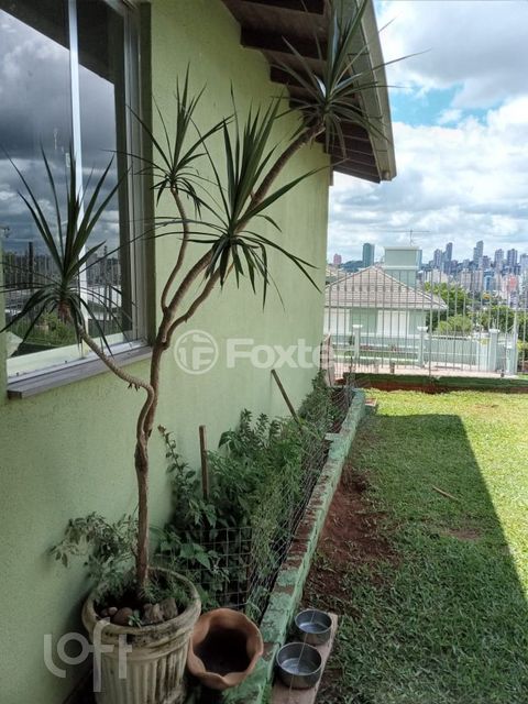 Image 5 - 247502