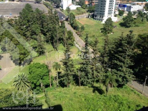 Image 10 - 247771