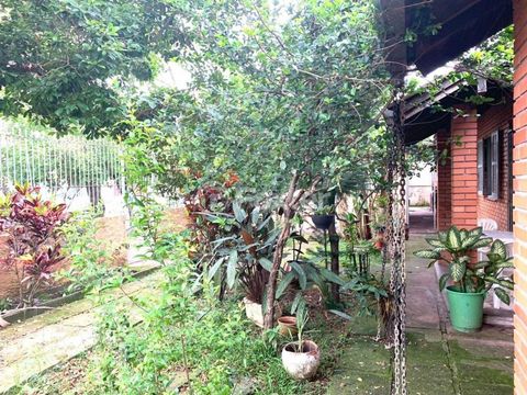 Image 3 - 249122