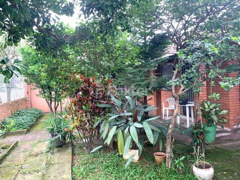 Image 2 - 249122