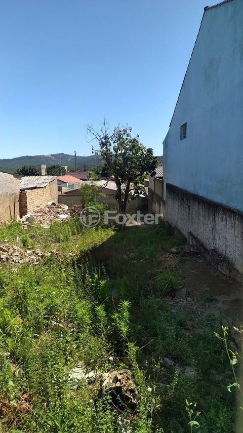 Image 5 - 250314
