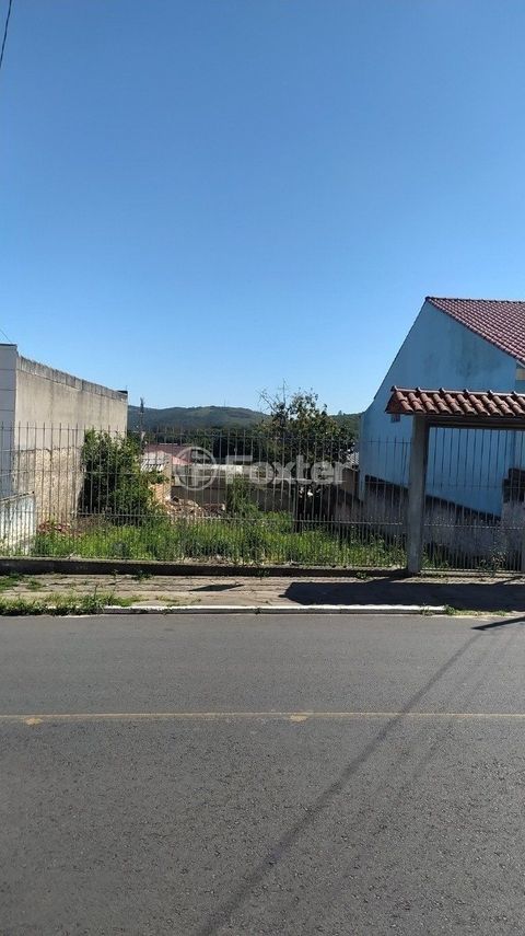 Image 3 - 250314