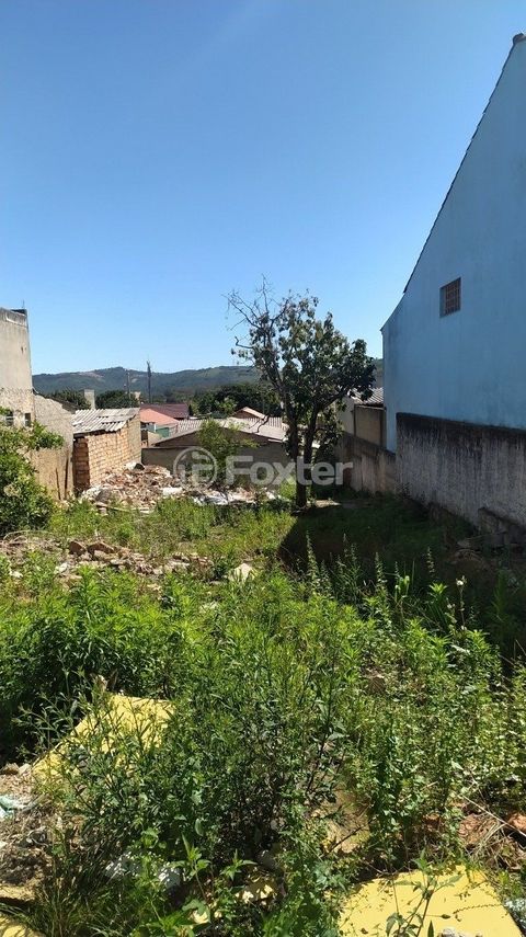 Image 7 - 250314