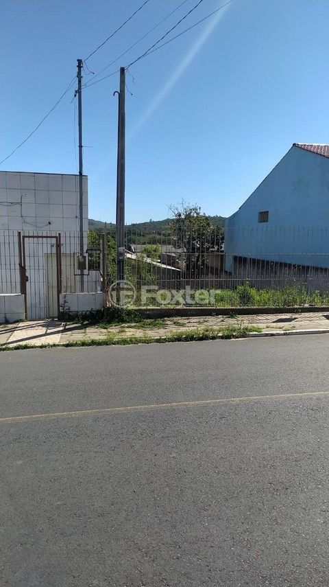 Image 4 - 250314