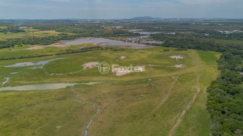 Image 10 - 250377