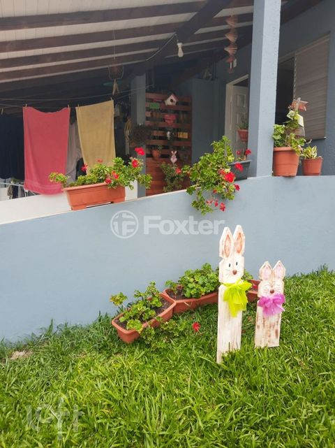 Image 3 - 255331