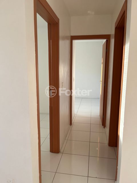 Image 7 - 255898