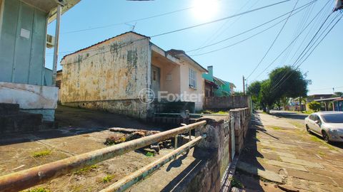 Image 4 - 256505