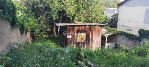 Image 4 - 257367