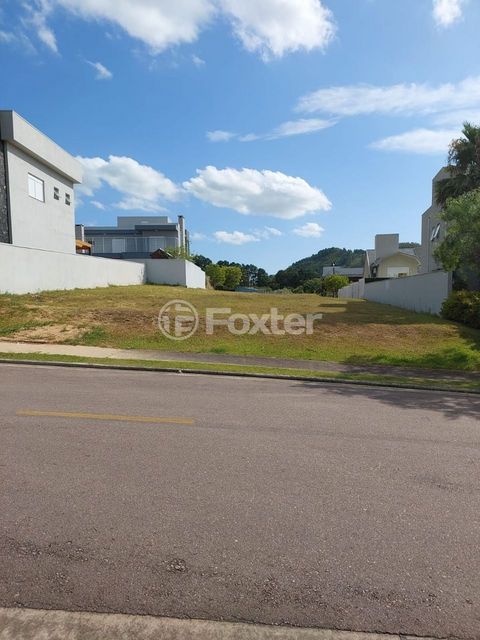 Image 7 - 259493