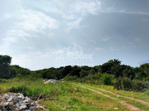 Image 13 - 260293