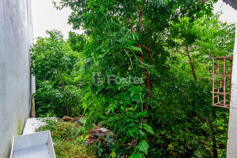 Image 7 - 260808