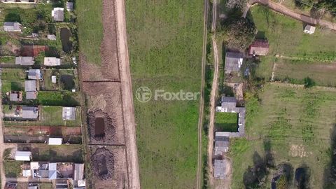Image 8 - 261254