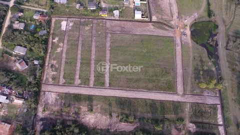 Image 6 - 261254