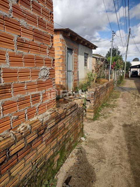 Image 8 - 264551