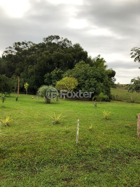 Image 5 - 265961