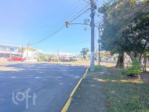 Image 5 - 269503