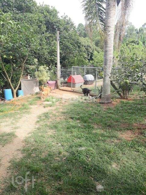 Image 16 - 269594