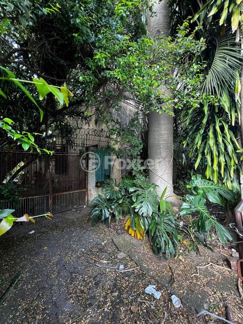Image 7 - 271490