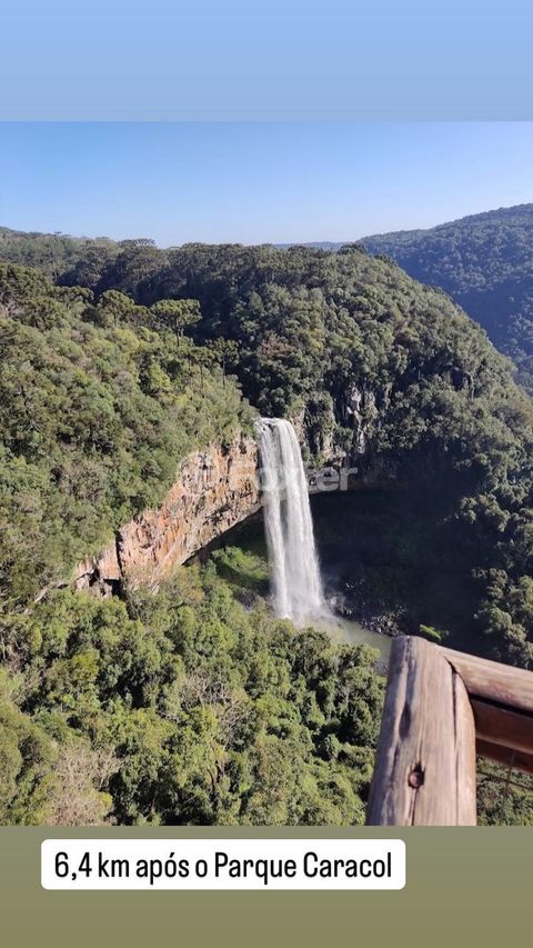 Image 16 - 272491