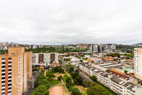 Image 14 - 272801