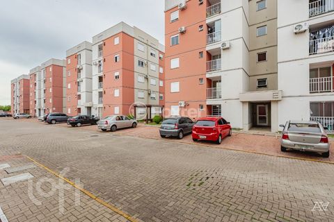 Image 13 - 273098