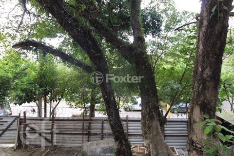 Image 12 - 273961