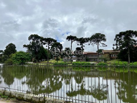 Image 16 - 275804