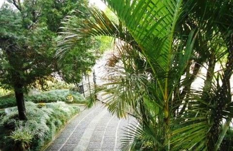 Image 5 - 277782
