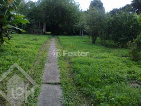 Image 10 - 277899