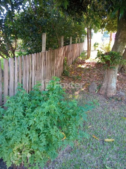 Image 4 - 278997