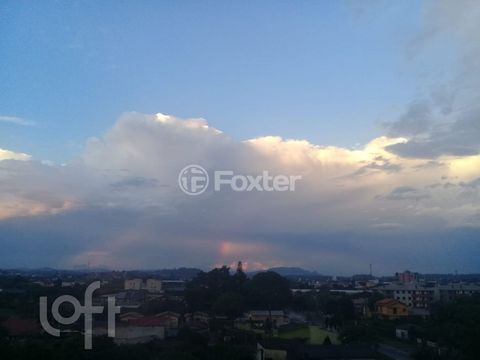 Image 16 - 280454