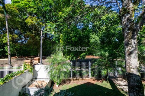 Image 7 - 281733
