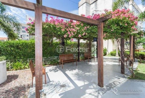 Image 8 - 282286