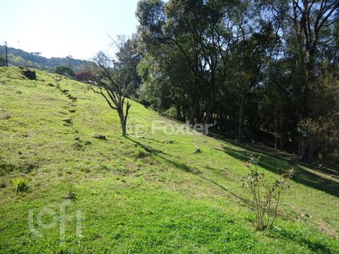 Image 5 - 282316