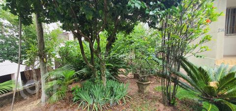 Image 13 - 282592