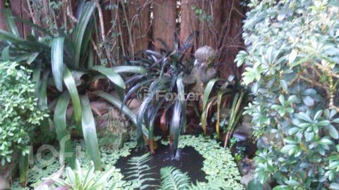 Image 16 - 283529