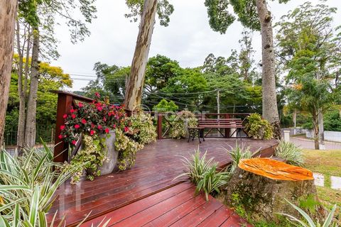 Image 4 - 284456