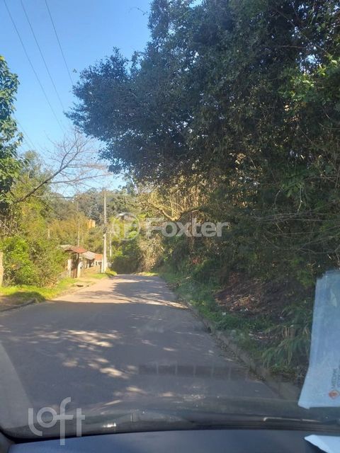 Image 8 - 285060