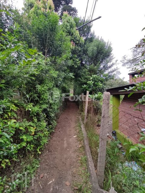 Image 11 - 285268