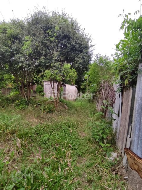Image 12 - 285268