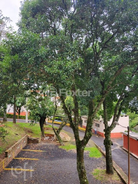 Image 15 - 286602