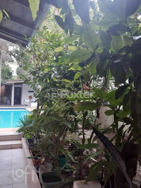 Image 7 - 286785